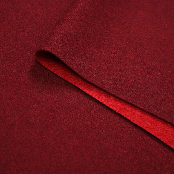 Eleganter doppelseitiger Schal mit Fransen, 68x180cm, Rot image number 6