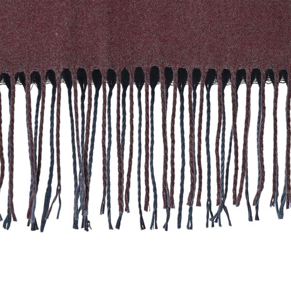 Eleganter doppelseitiger Schal mit Fransen, 68x180cm, Braun image number 7
