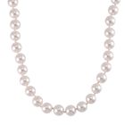 Wei&szlig;e Muschelkernperle Halskette ca. 50 cm Reiner Edelstahl