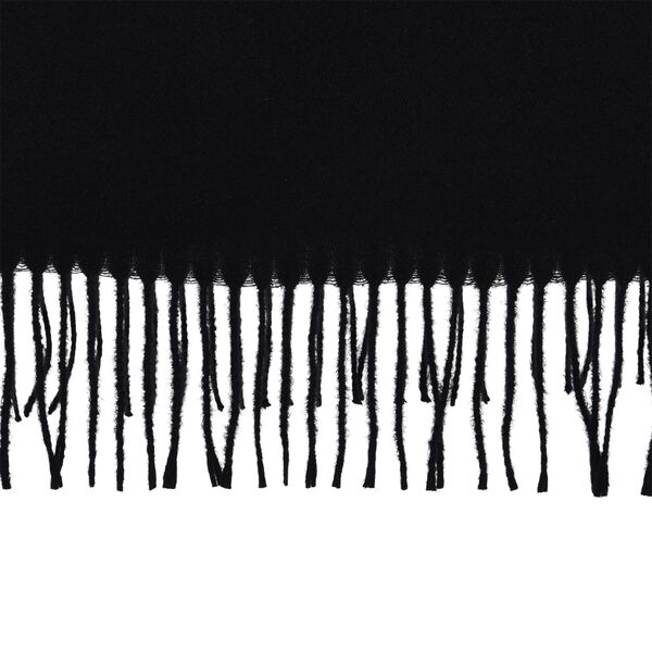 Bestickter Schal mit floralem Stickerei, 70x180cm, Schwarz image number 3