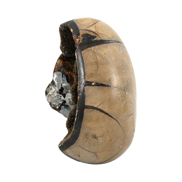 Septarian Drachen-Ei, M - 2000 ct. image number 1