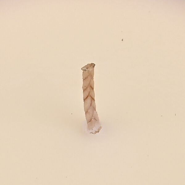 LIVMORE - Duftkerze im Glas mit Bienenmotiv, Oudh und Sandelholz, 120 g, Karamell image number 4