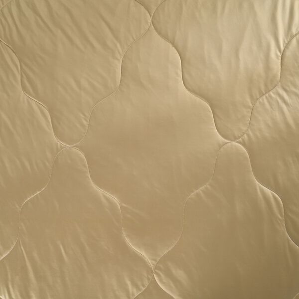 "AB side Silk quilt with cooling fabric fabric:85% nylon+15%spandex A side: print, B side match solid color Filling:100g silk+200g polyester,around 110gsm,33% silk+77% polyester Packing:gift box with PVC cover", "AB side cooling pillowcase with piping wit image number 6