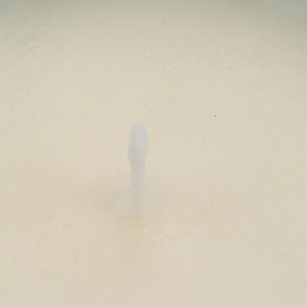 LIVMORE - Duftkerze im strukturierten Glas, Rose und Bergamotte, 48 Std. Brenndauer, Gelb image number 4