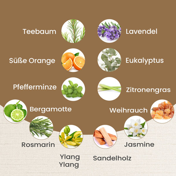 The 5th Season - 12er-Set &auml;therische Massage&ouml;le, 10 ml image number 3