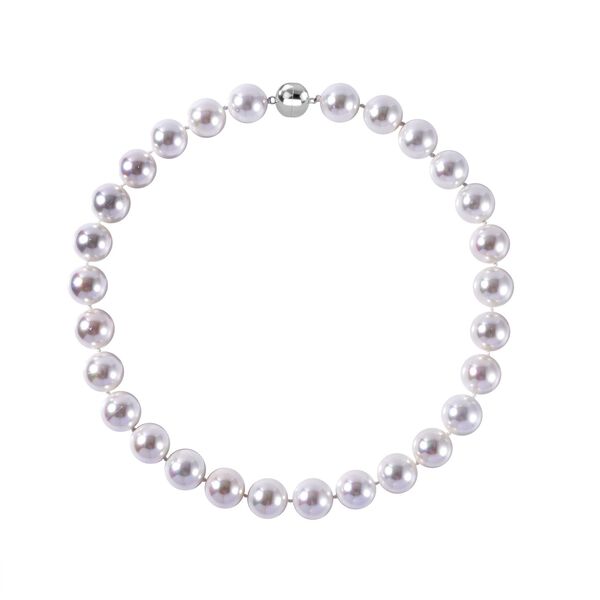 Wei&szlig;e Muschelperle 50cm Halskette