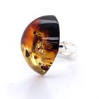 Baltischer Bernstein Ring 925 Silber (Größe 16.00)