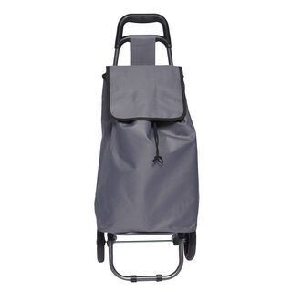 Einkaufstrolley, grau