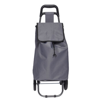 Einkaufstrolley, grau