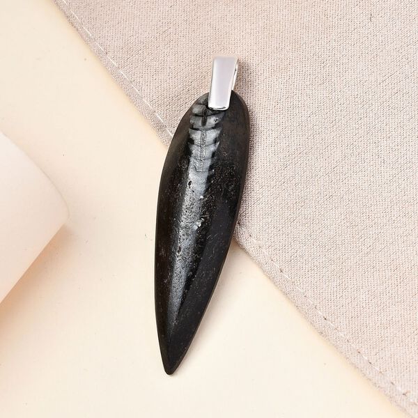 Versteinerter Orthoceras-Anh&auml;nger image number 2