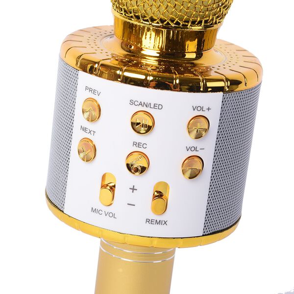 Multifunktions Karaoke Mikrofon und Bluetooth Lautsprecher mit sprachgesteuerten LED - Lichter und Sound - Echo, Gold image number 2