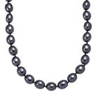 Pfaufarbene Muschelperle Halskette ca. 50 cm Reiner Edelstahl Standard