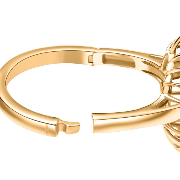 D'Joy Afrikanischer Rubin, Zirkon und roter Diamant Ring - 7,69 ct. image number 7