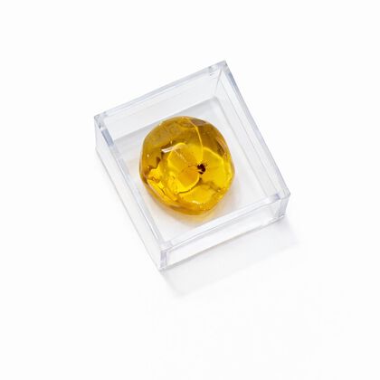 Nat&uuml;rlicher Baltischer Bernstein mit Inkluse Insekt, Cabochon Fancy Schliff, Gelb