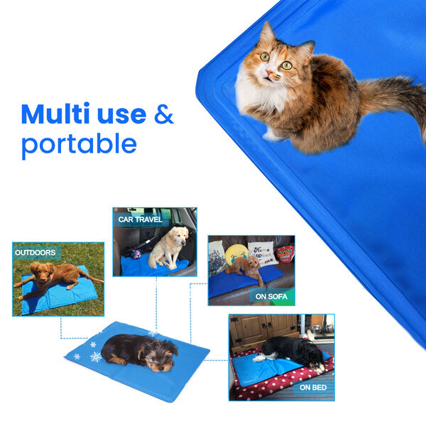 Extra Gro&szlig;e Hundek&uuml;hlmatte, blau image number 6