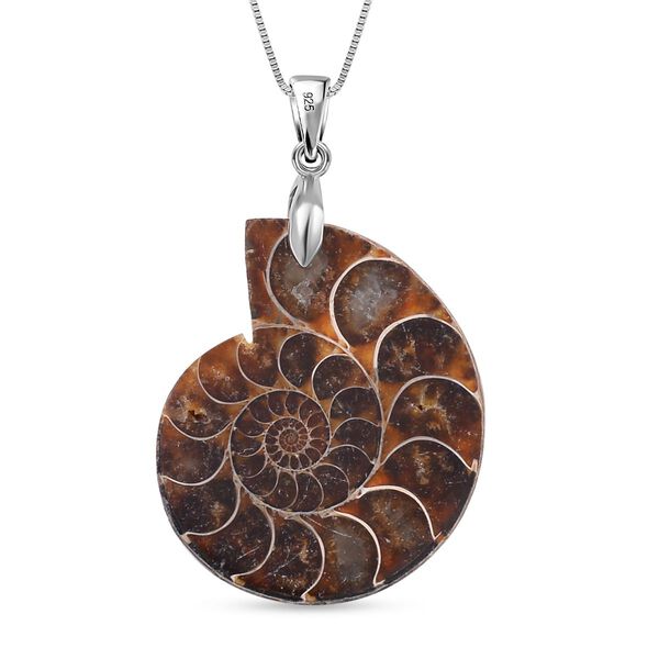 Ammonit Schmuckset 925 Silber, 925 Silber rhodiniert ca. 56,50 ct. image number 3