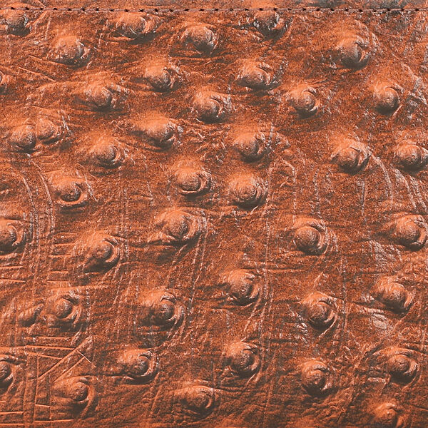 Geldb&ouml;rse aus 100% echtem Strau&szlig;enleder, RFID Schutz, Braun image number 6