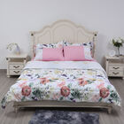 SERENITY NIGHT: 3er-Set - Bettdecke und 2 Kissenbezüge, Blumenwiese, Mehrfarbig, Weiß  image number 1