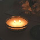 LIVMORE - Duftkerze im dekorativen Glas, Amber und Pfingstrose, 36 Std. Brenndauer, Grün