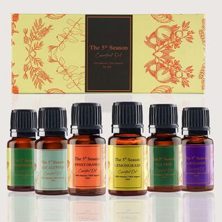 The 5th Season - 6er Set ätherische Massage BIO Öle, Lavendel, Eukalyptus, Zitronengras, Teebaum, Orange und Pfefferminz, 10ml