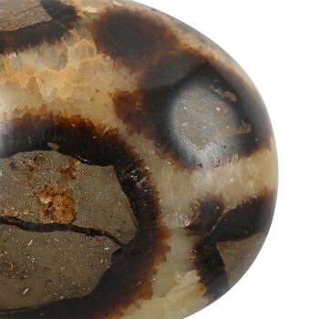 Gem Crystal Kollektion - Septarian - S, ca. 400 cts.