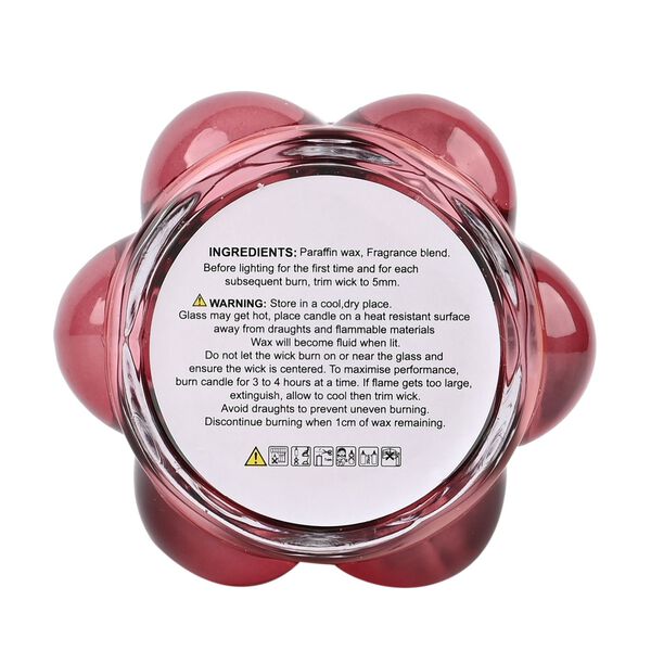 The 5th Season- Duftkerze in rot mit 23h Brennzeit image number 3