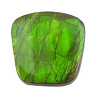 AAAA Ammolite Free Free Plain Cut, 10.51 Ct