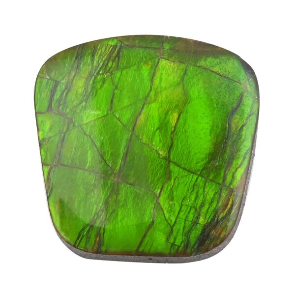 AAAA Ammolite Free Free Plain Cut, 10.51 Ct