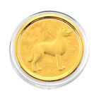 999er Goldm&uuml;nzefolie mit Hundemotiv und Regenbogen-Designlinie, ca. 30 mm, ca. 100 mg