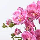 THE 5TH SEASON: Pinkfarbene Schmetterlingsorchideen mit Vase, Kunstblumen, Größe: 28x15x43 cm  image number 1