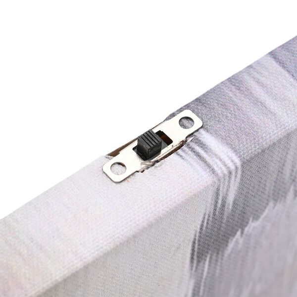 LED Leinwand Rahmen Digitaldruck Wandbild, Wei&szlig;e Orchidee, 30x40 cm image number 4