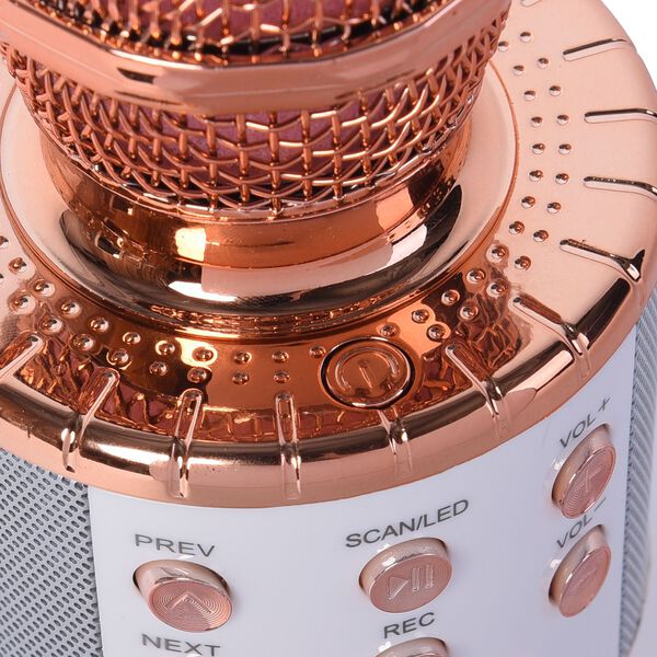 Multifunktions Karaoke Mikrofon, rosegold image number 9