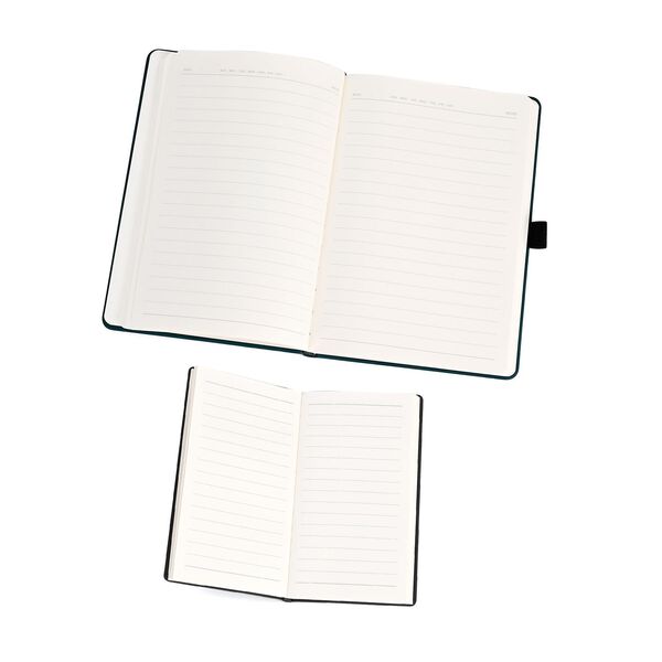 Premium Set; Notizbuch und Taschentagebuch mit geschnitztem, samtigem Hardcover und Kugelschreiber, Grün image number 10