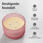 The 5th Season- Rosenduft Duftkerze in pink, 46h Brennzeit image number 4