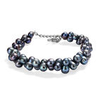 Gefärbtes Pfaufarbenes Süßwasser Armband, ca. 19 cm + 5 cm extender, Edelstahl