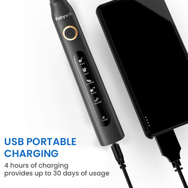 Elektrische Zahnb&uuml;rste mit Reisetasche und 8 B&uuml;rstenk&ouml;pfe, Gr&ouml;&szlig;e 23x2,5 cm, Schwarz image number 4