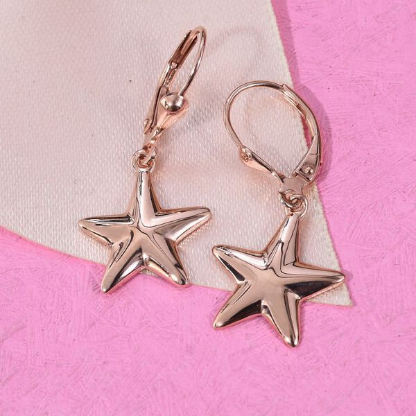 Stern-Ohrh&auml;nger - 3,13g image number 1