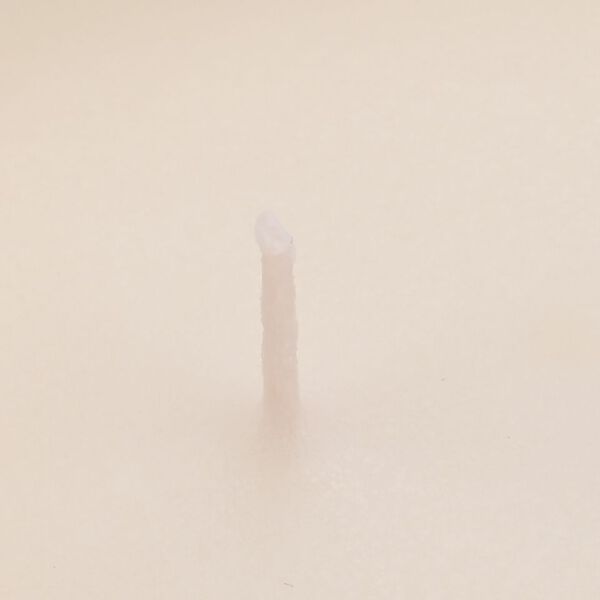 LIVMORE - Duftkerze Winterzauber-Design, 28 Std. Brenndauer, 150g, 4,5 ml &auml;therisches &Ouml;l, Lavendel und Jasmin, Flieder image number 6