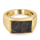 Meteorit Ring 925 Silber vergoldet (Größe 16.00) ca. 5,41 ct