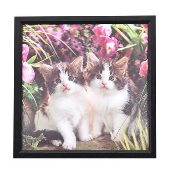 Realistisches 5D Katzen-Gem&auml;lde, Gr&ouml;&szlig;e 43,5x43,5x1,2 cm, Mehrfarbig