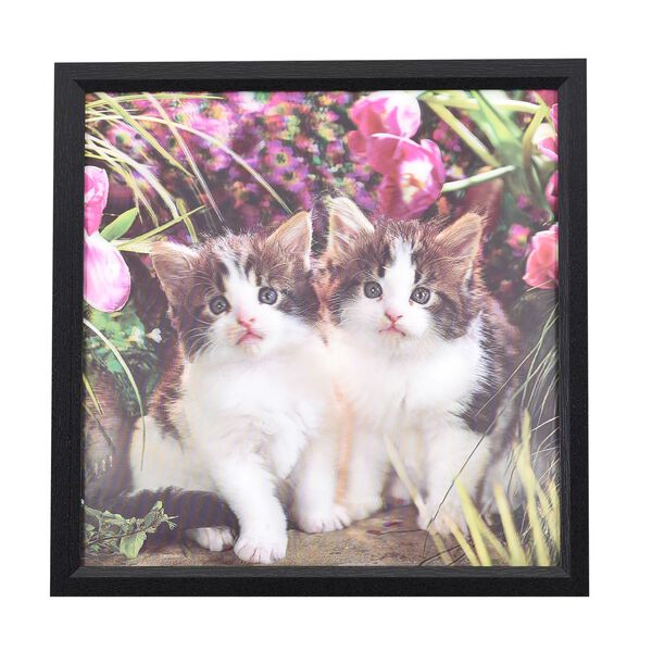 Realistisches 5D Katzen-Gem&auml;lde, Mehrfarbig