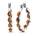 Tigerauge Ohrringe  ca. 9,72 ct