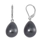 Graue Muschelkernperle Ohrringe, 925 Silber rhodiniert