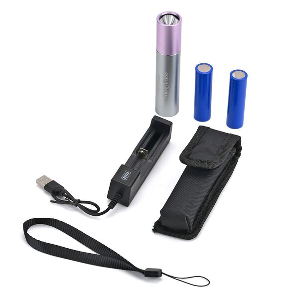 SOULSMART Rotlicht-Physiotherapie-Taschenlampe, inkl. 2 wiederaufladbare Batterien, 11,9x2,5cm image number 6