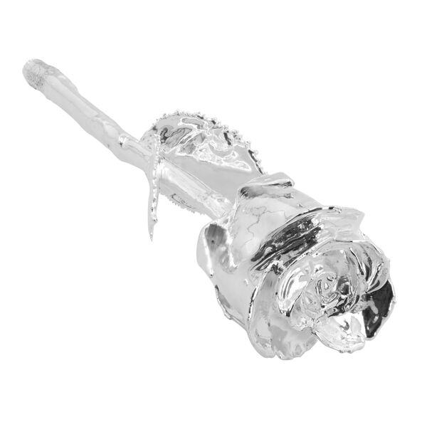 Rose mit Aufbewahrungsbox und Holz-St&auml;nder, versilbert image number 3