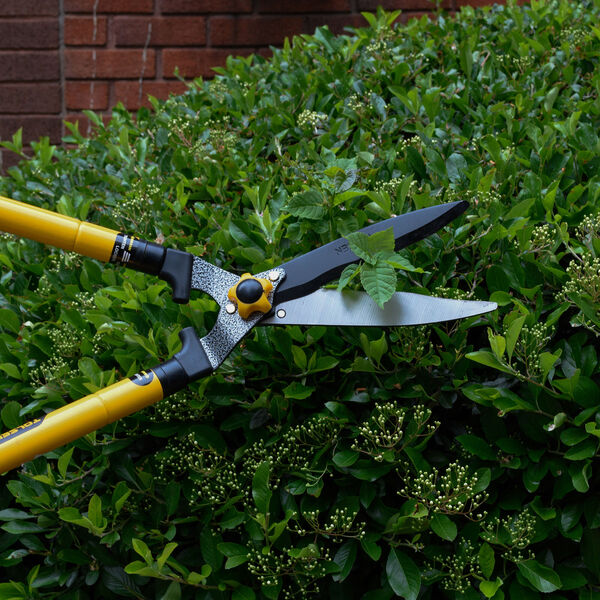 Tolsen Teleskop Heckenschere image number 5