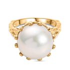 Giuseppe Perez Süßwasser Perle (12 mm), Kanchanaburi Blauer Saphir Ring 925 Silber 750 Gelbgold Vermeil (Größe 19.00) 16.22 ct