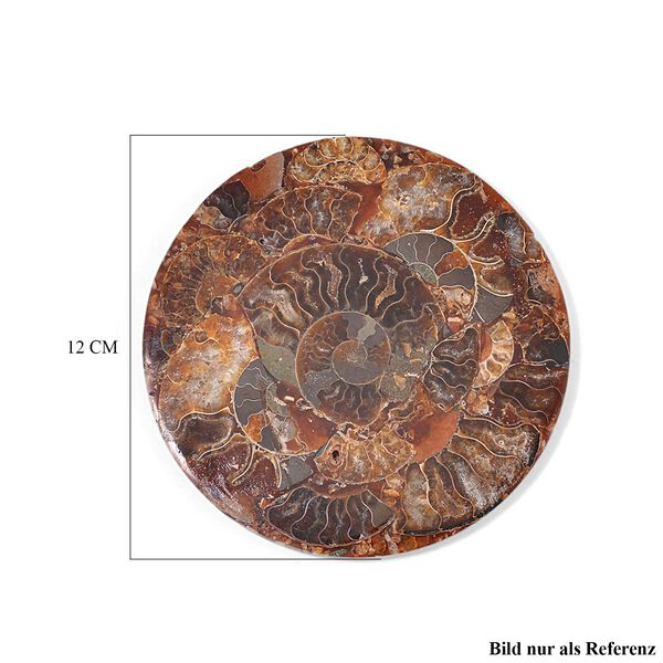 Madagaskar Ammonit Fossil mit St&auml;nder image number 6