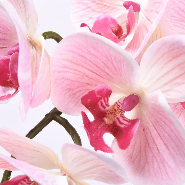 Rosa Orchidee mit schwarzem Keramiktopf, 11x35x55 cm image number 2