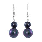 Mehrfarbige Muschelperlen Ohrringe, Reiner Edelstahl